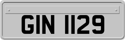 GIN1129