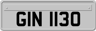 GIN1130