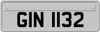 GIN1132
