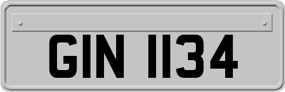 GIN1134