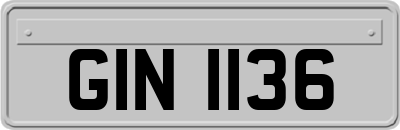 GIN1136