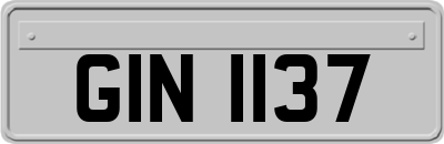 GIN1137