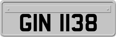 GIN1138