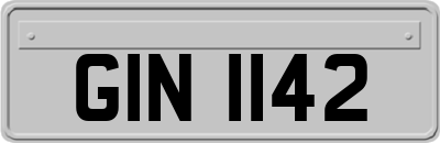 GIN1142