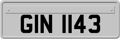 GIN1143