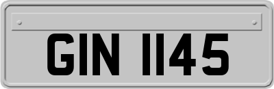 GIN1145