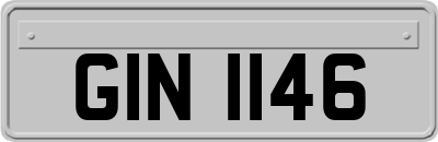 GIN1146