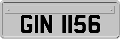 GIN1156