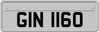 GIN1160