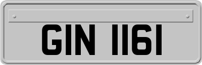 GIN1161