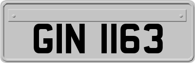 GIN1163