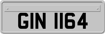 GIN1164