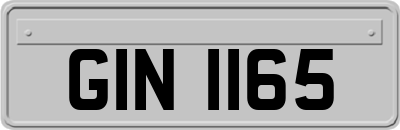 GIN1165