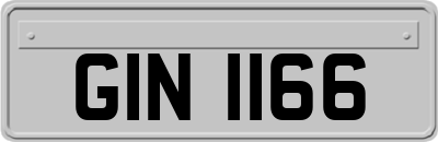 GIN1166