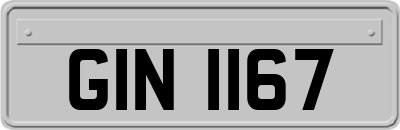 GIN1167