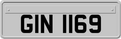 GIN1169