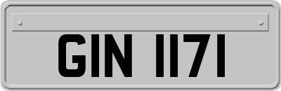 GIN1171
