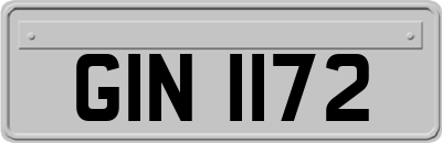 GIN1172