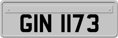 GIN1173