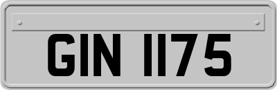 GIN1175
