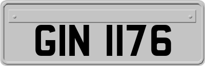 GIN1176
