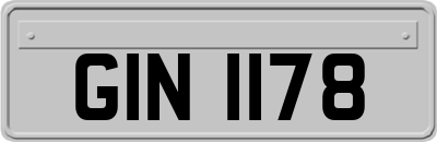 GIN1178