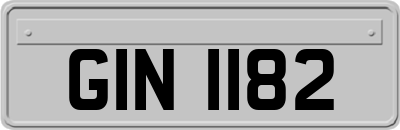 GIN1182