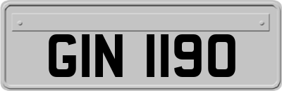GIN1190