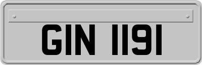 GIN1191