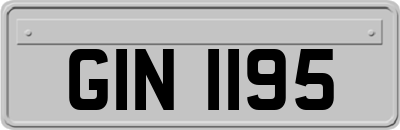 GIN1195
