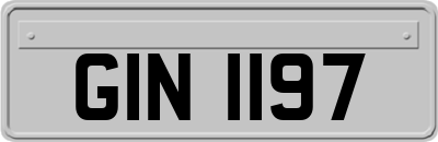 GIN1197