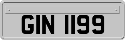 GIN1199
