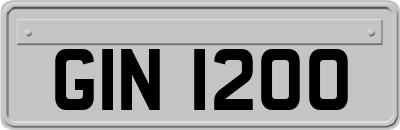 GIN1200