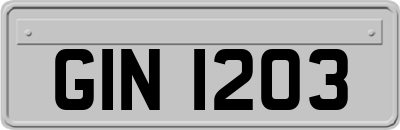 GIN1203