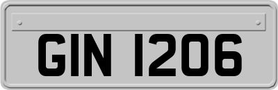 GIN1206