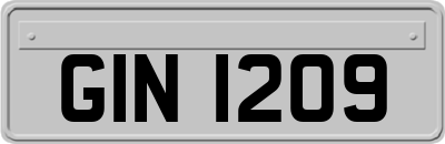 GIN1209