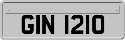 GIN1210