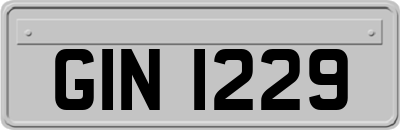 GIN1229