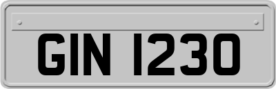 GIN1230