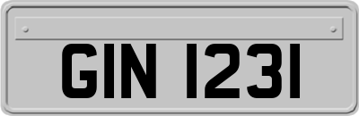 GIN1231
