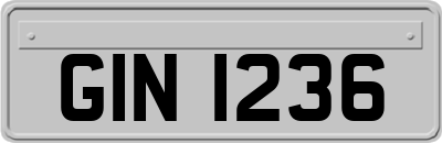 GIN1236
