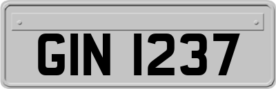 GIN1237