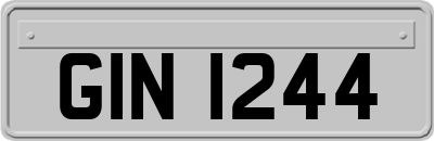 GIN1244