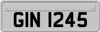 GIN1245
