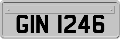 GIN1246