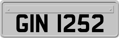 GIN1252
