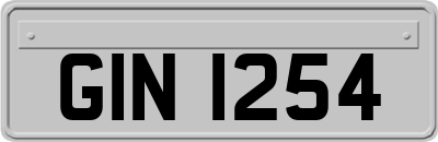 GIN1254