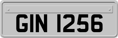 GIN1256