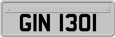 GIN1301