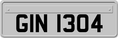 GIN1304